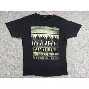 Backstreet Boys Shirt Mens Large Concert 2013 World Like This Tour Graphic Tee